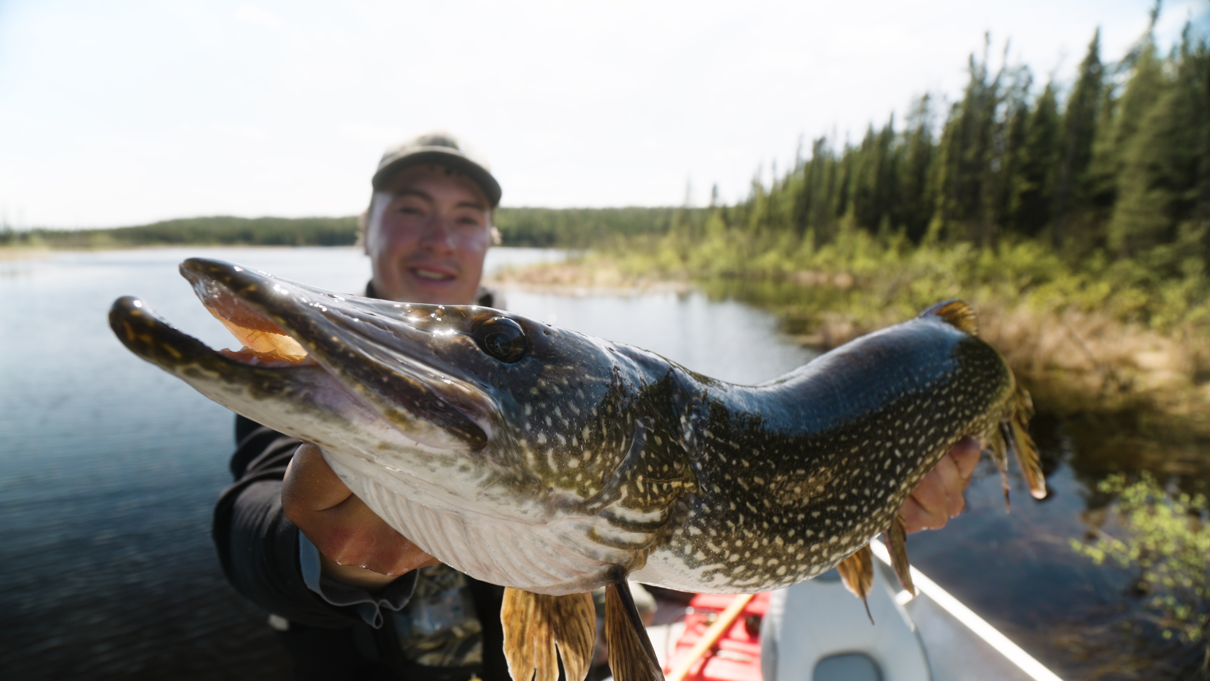 World Class Trophy Pike Fishing at Sickle Lake Wilderness Resort