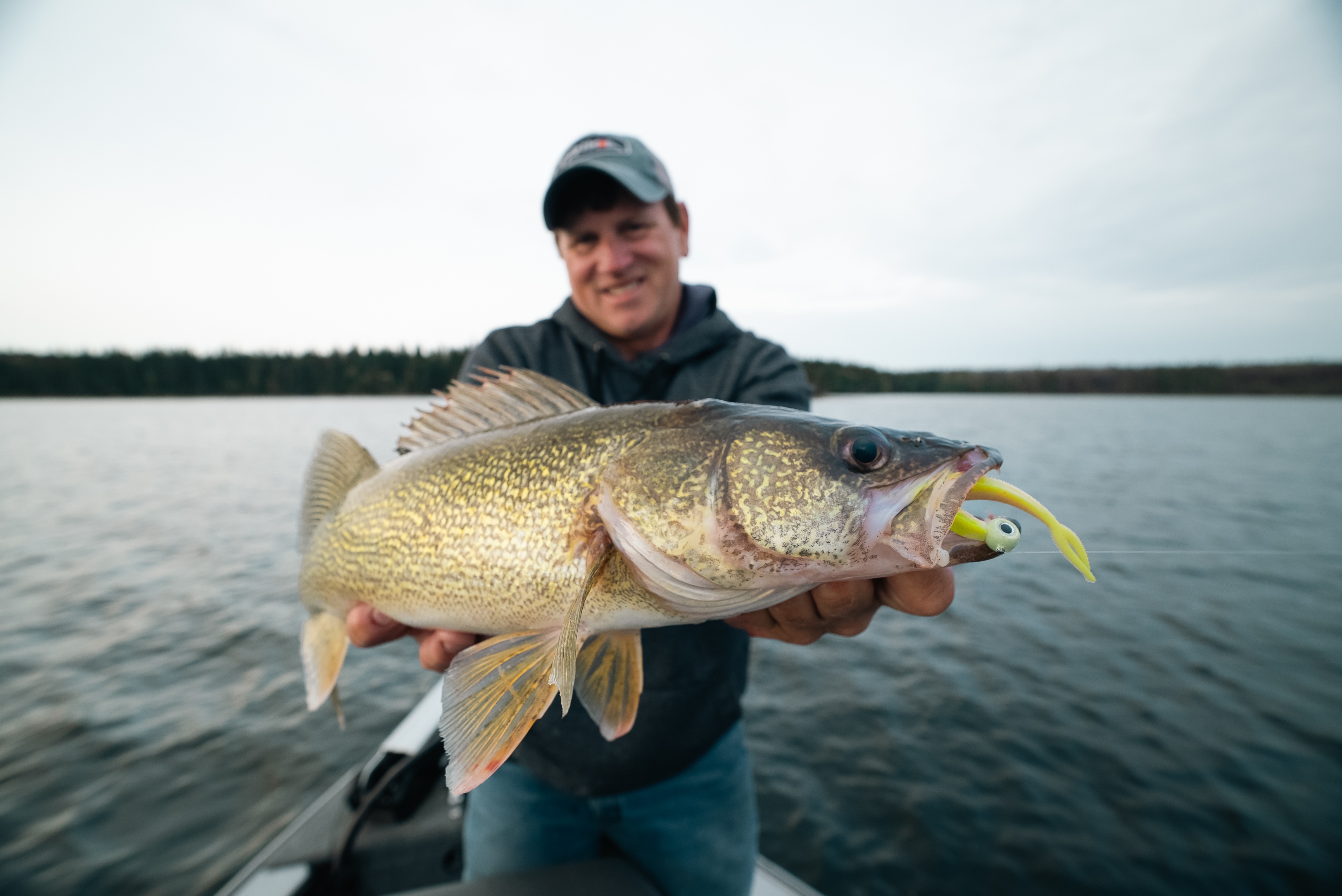 Healthy Walleye Mula sa Viking Lodge
