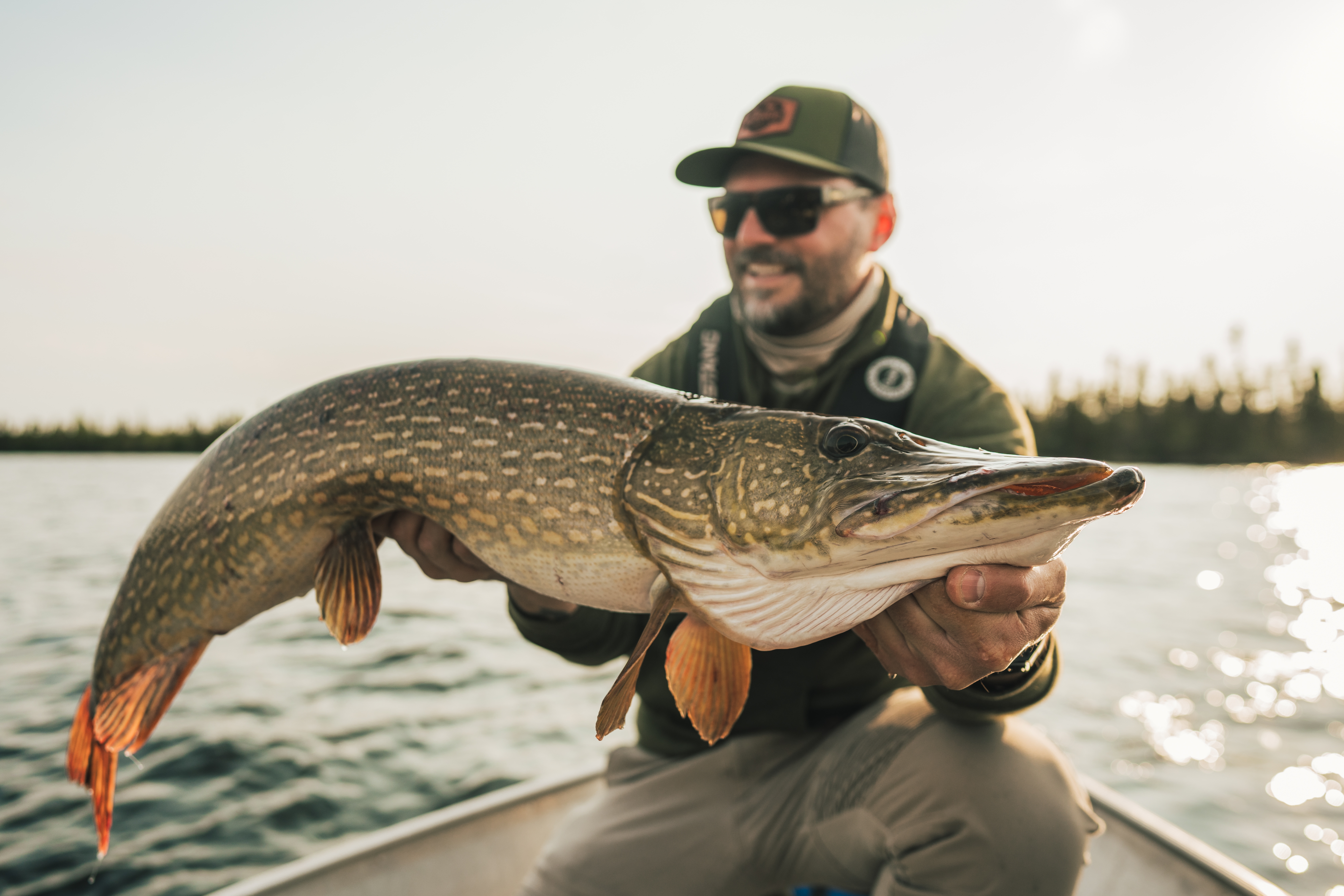 Pike