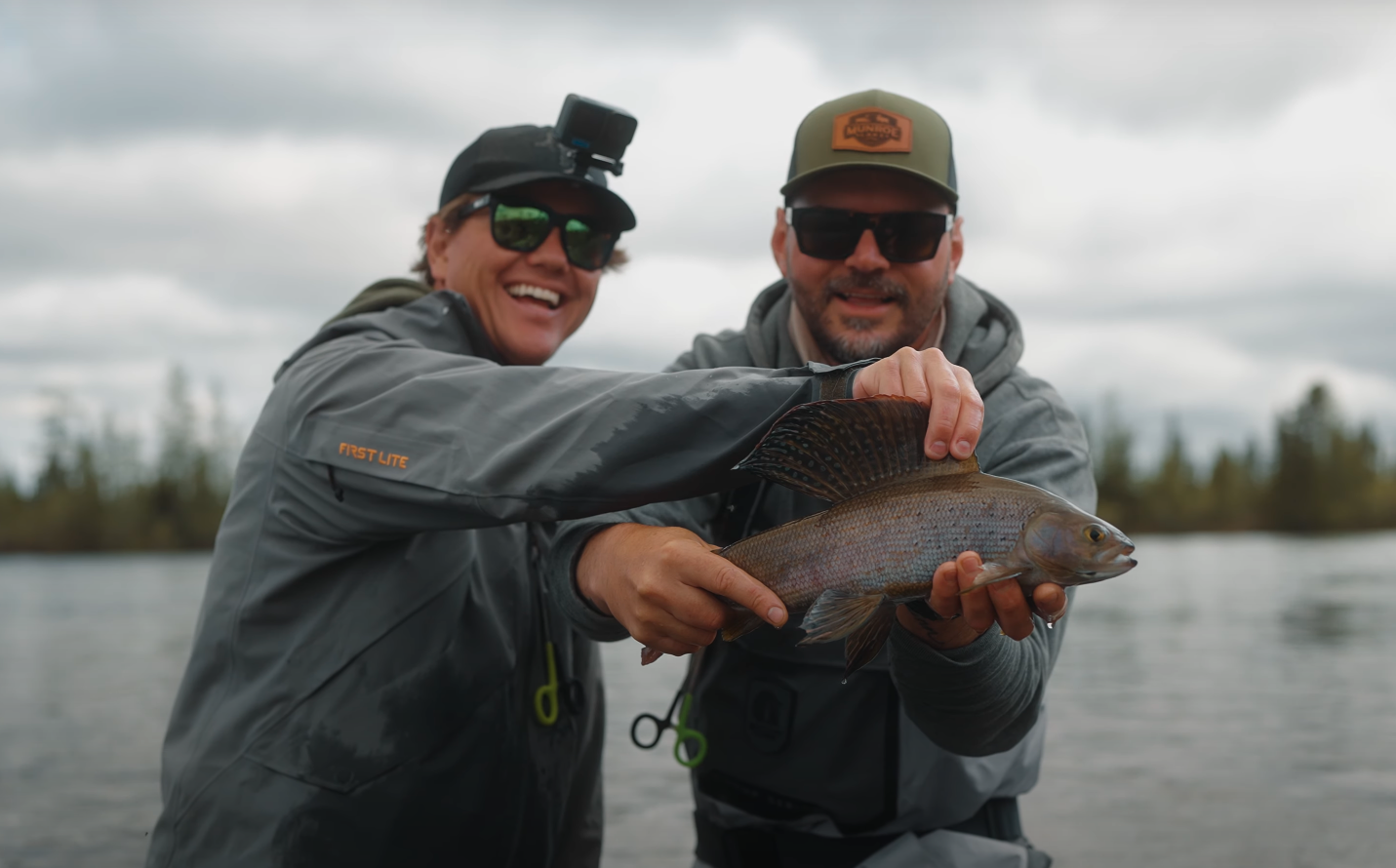 arctic grayling