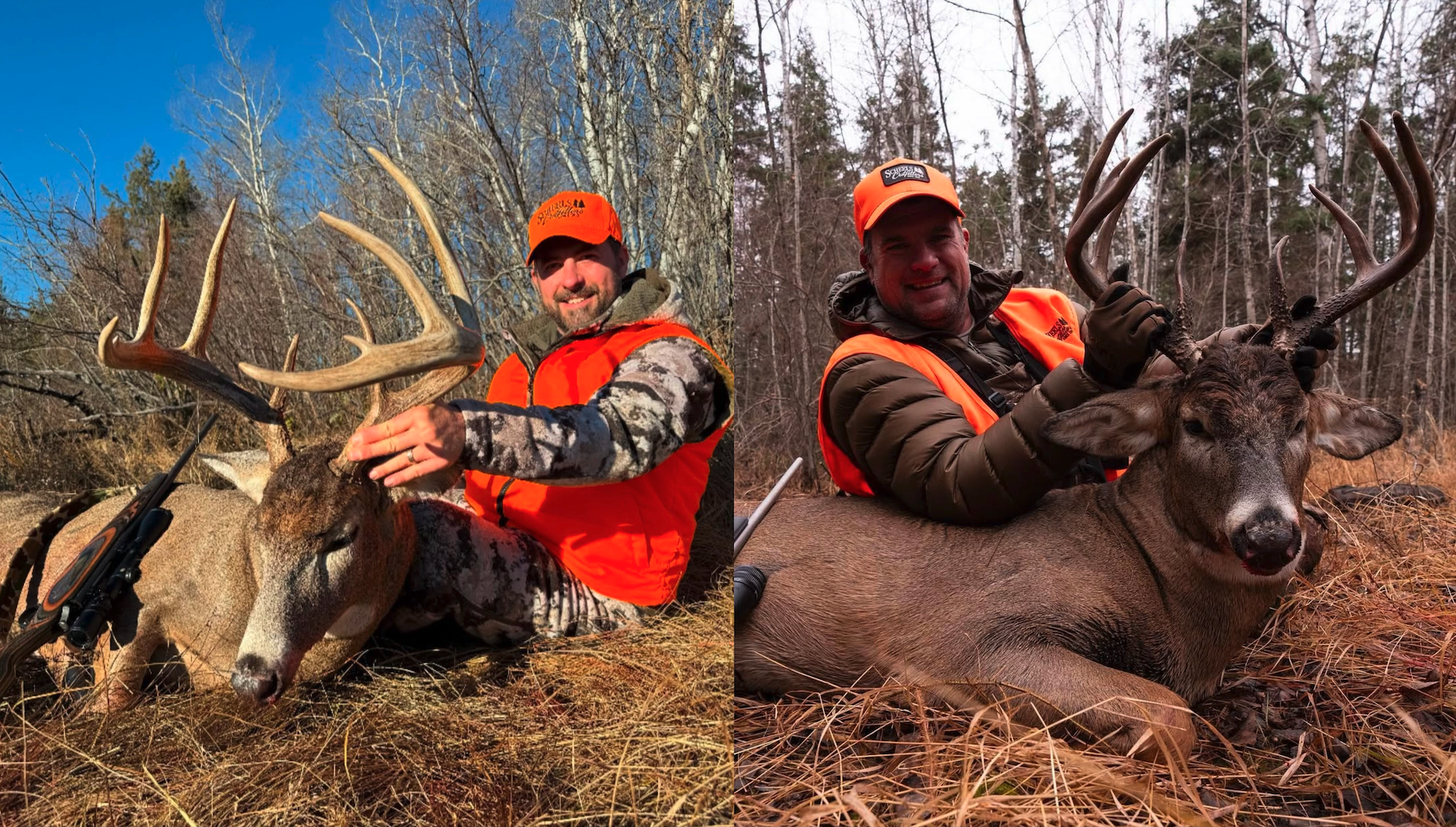 pangangaso ng whitetail
