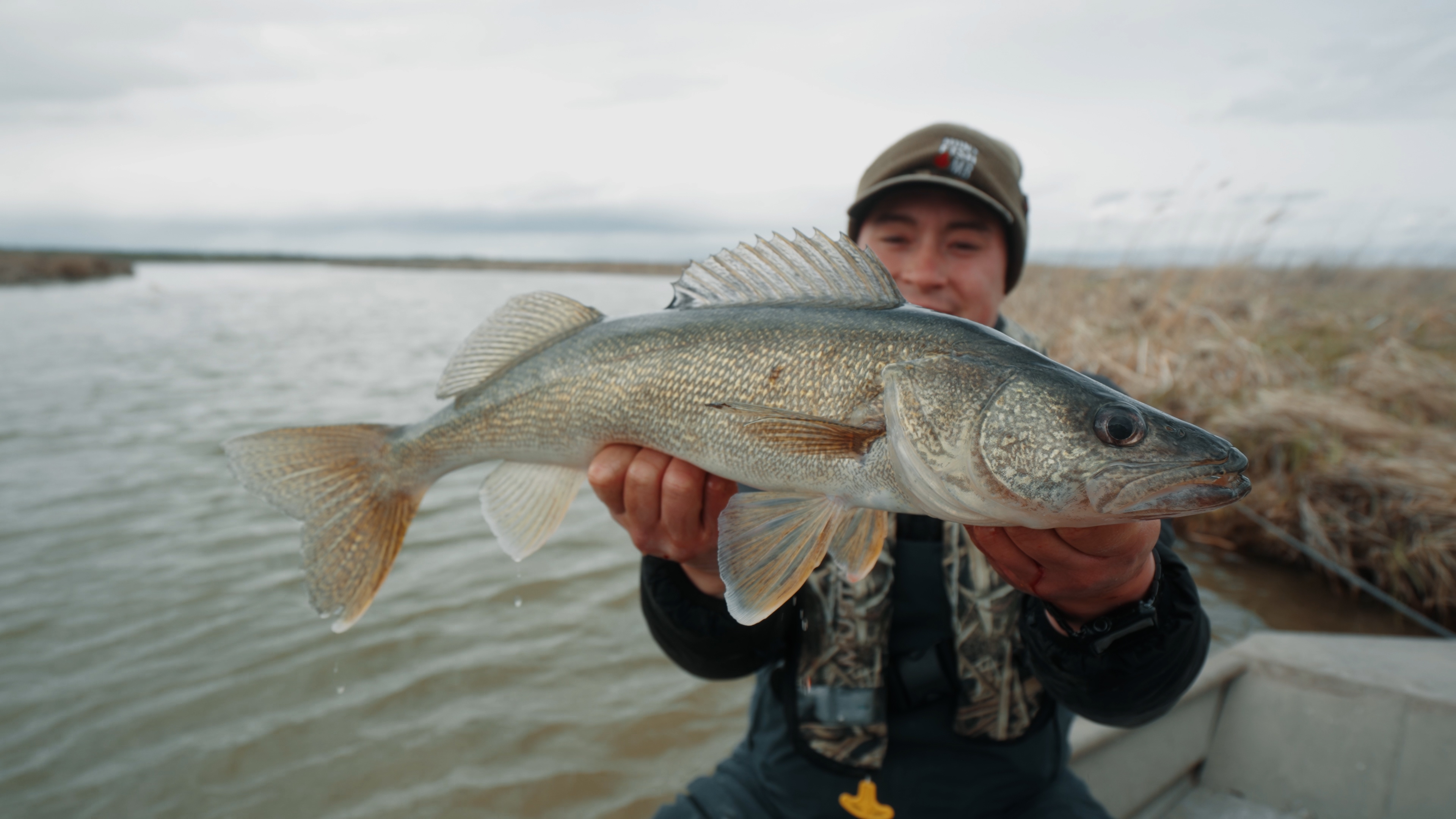walleye