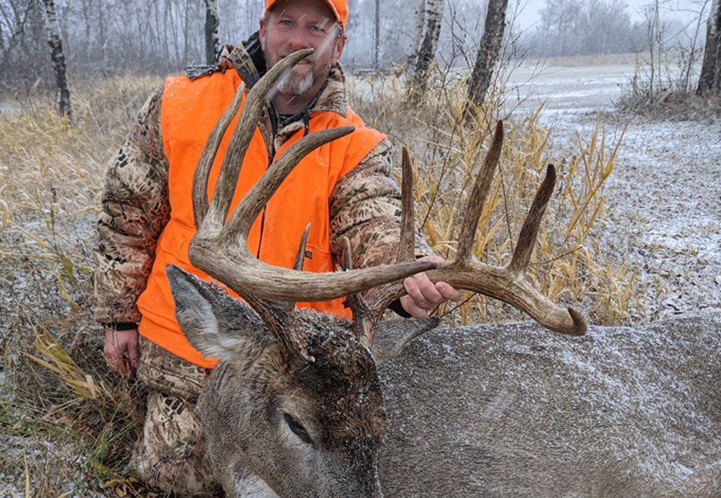 whitetail